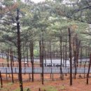 천호대로(남측) 이미지