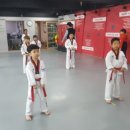 충효태권도 전문도장 이미지