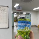 중우유치원 | 4-1학기 하계근로 - [** 우체국 물류실 교외 근로 - 7/8월]