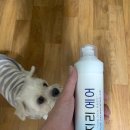 주식회사 맑은 이미지