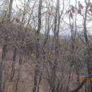 안동여자중학교 이미지