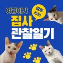 누울지 이미지
