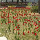 경주동궁원 이미지