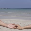 미헤어갤러리 | [결혼준비] 제주스냅 &#39;미갤러리&#39; 후기 (6월 촬영)