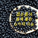 검은콩이 몸에 좋은 6가지 이유와 부작용 이미지