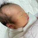 알콜퀸 | 신촌 연세퀸 산부인과 제왕후기 3-4일차