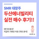 여행대장주 | 두산에너빌리티 주가 전망 : SMR 대장주 100만 원 소액 투자 후기 (RSI 과매도 포착)