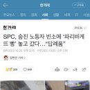 SPC, 숨진 노동자 빈소에 ‘파리바게뜨 빵’ 놓고 갔다…“답례품” 이미지