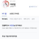 네인플 | 리빙 인플루언서 네인플 1일 2포 블로그 챌린지 19기 후기
