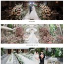 달콤 DALKOM | W06-1. 더세인트 밝은홀 본식스냅: 더달콤한웨딩 예약후기(ft.최대 28만원 할인, 본식스냅 본식DVD...