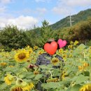 환경시설관리공사 달성사업소 이미지