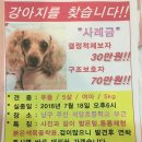 인천석암초등학교 이미지