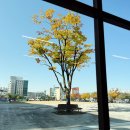 투데이레스토랑 | [청주 내덕동 맛집] 청주 원더아리아 맛집 이탈리안레스토랑 잇투데이 내돈내산 솔직후기