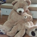 엄마와 아기곰 이미지