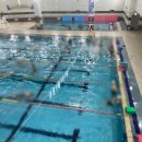 독산로54길 | 수린이가 되어보자! - 금천구민문화체육센터에서의 5개월 수영 후기