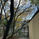 자유 대중탕 | [일본 여행] 도쿄 근교 료칸 | 하코네 무사시노 베칸 3탄, 프라이빗탕/대중탕 후기