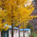 임고초등학교 이미지