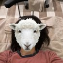 베스트약손 이미지