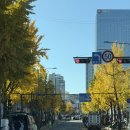 서울종묘 | 서울 도심 단풍 명소 ‘종묘’ 산책 후기｜유네스코 세계문화유산 가을 풍경 완전 정리