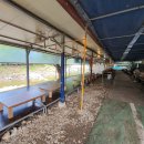 천등민박 이미지