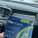 해동가축병원 이미지