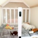 보니또따 이미지