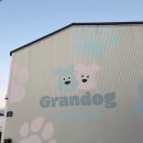 몽썸 | [강아지운동장] 부산 그랑독 후기