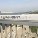 화야의류 | 감동백배!