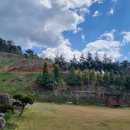 숲속에하루민박 이미지