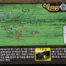 임천초등학교 앞 이미지