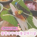 뚜레쥬르청주가마지구점 | 동남지구 맛집 불향쭈꾸미&통갈매기살, 제철 병어회와 병어 물회 후기
