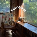 여행자의노래 | 강원도 영월 점숙씨 강아지와 촌캉스 감성 숙소 추천 내돈내산