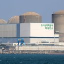 연일먹거리 이미지