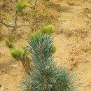 한길농원 이미지