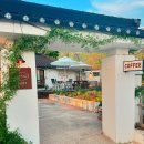 베스트 애견 이미지