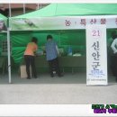 진진정보통신 이미지