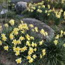 배진우 피아노 리사이틀 이미지