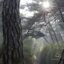 봉화산등산로 이미지