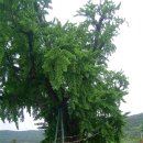 노당1리 이미지