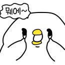 기프트버거구미 이미지