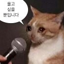 강남푸른안과의원 이미지