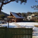 양평애견택시 이미지