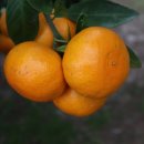 느링느링스테이 이미지