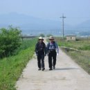 보성강5 이미지