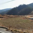 보성부동산공인중개사사무소 이미지