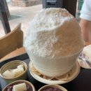 동탄지성로 이미지