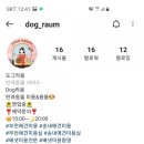 도그라움 이미지