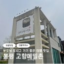 봉평고향메밀촌 | 의왕 맛집 부모님 모시고 가기 좋은 봉평 고향메밀촌