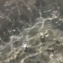 호텔가조 이미지