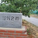 안심리 안심교 티스토리